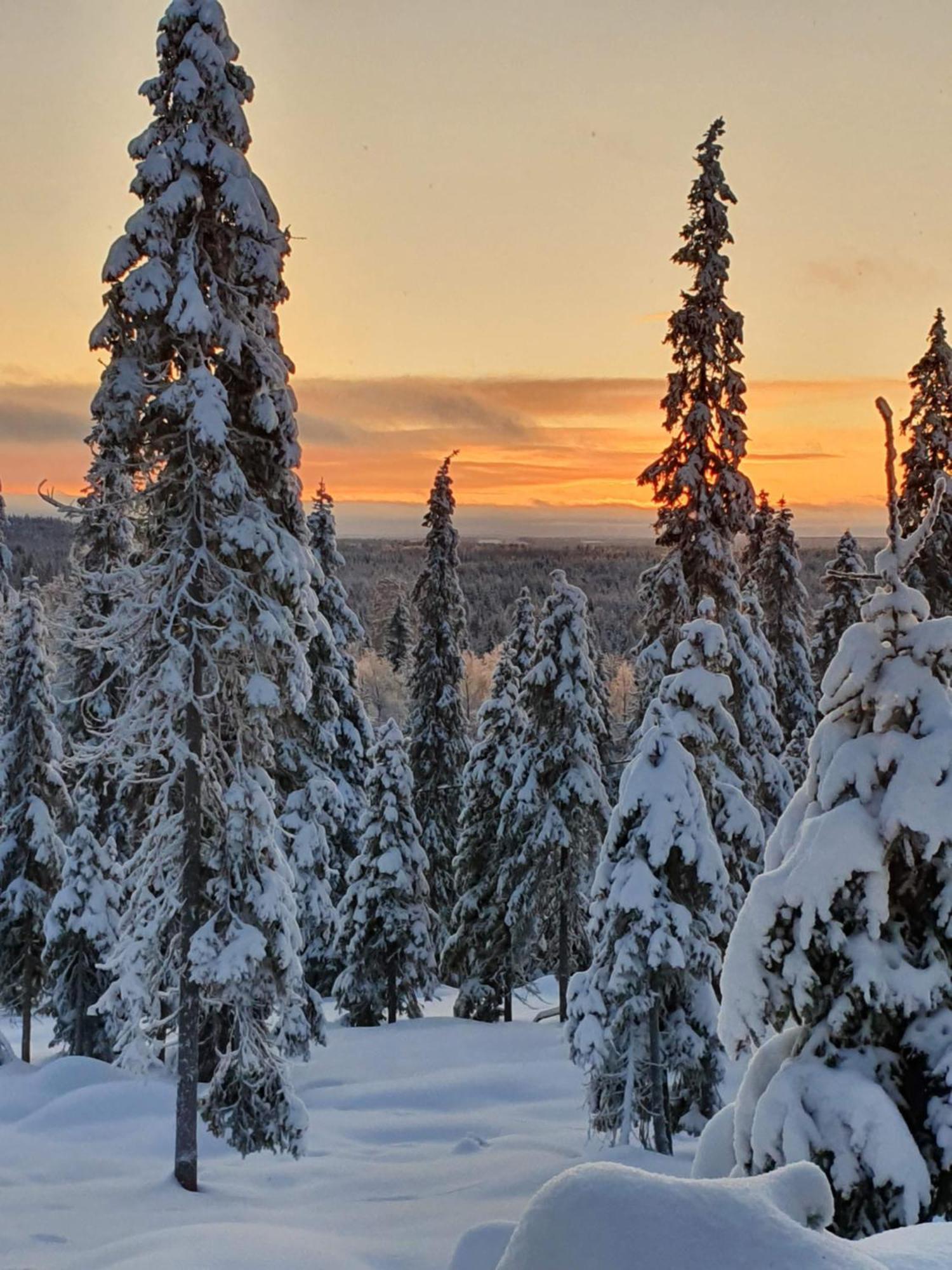 Hietavilla Borealis Ruka Exterior foto